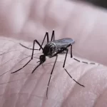 Dengue en Catamarca: se registraron 792 nuevos casos y tres muertes