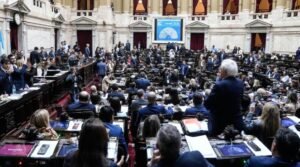 Diputados dio media sanción a la nueva Ley de Discapacidad